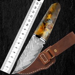 Damascus Steel Hand Handle Meat Knife Fruit Knife Outdoor Portable